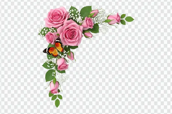 Pink Roses Butterfly and Gypsophila Corner Clipart PNG