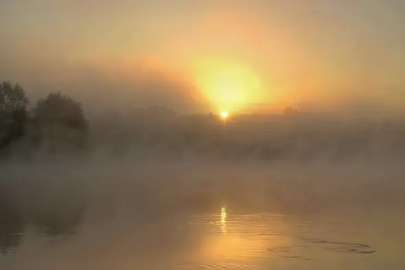 Misty Lake Sunrise with Golden Reflection