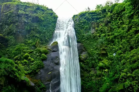 Majestic Waterfall Cascading Through Lush Green Forest