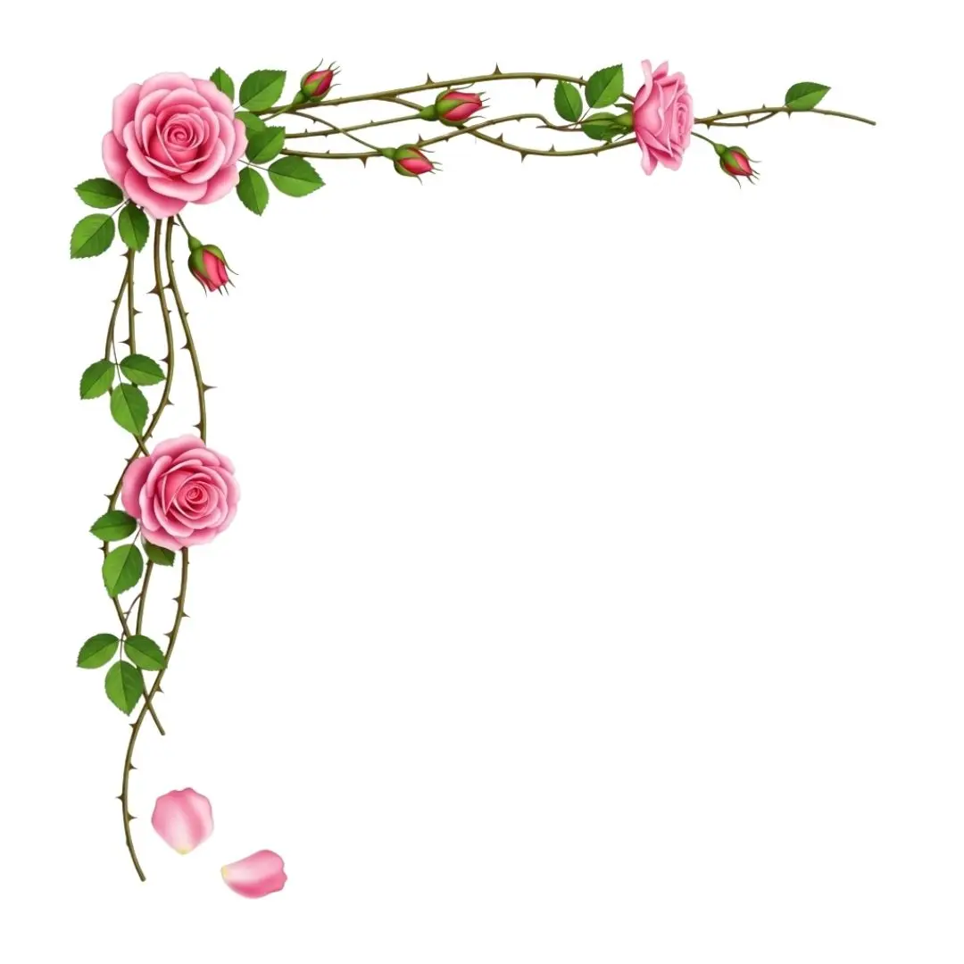 Thorny Pink Rose Vine Floral Corner Element Clipart