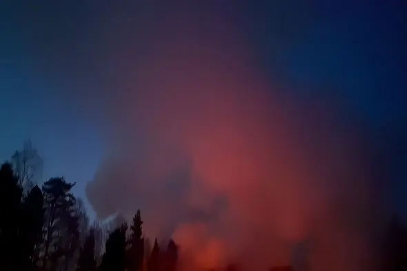 Dramatic Twilight Sky with Red Aurora and Forest Silhouettes