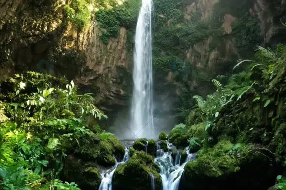 Majestic Tropical Waterfall Cascading Through Lush Green Canyon