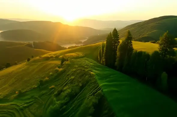 Panoramic Mountain Range with Evergreen Forest Under Blue Sky