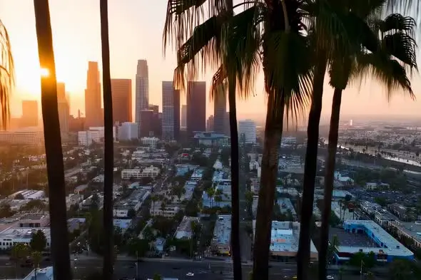 Los Angeles Skyline at Sunset Through Palm Trees