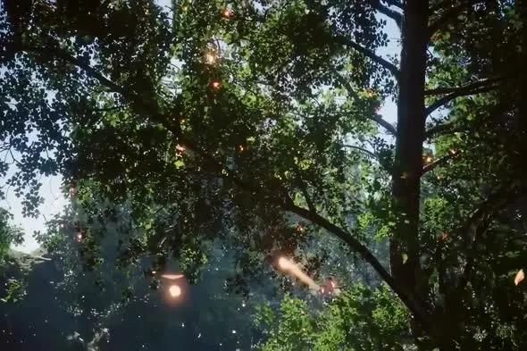 String Lights Glowing Through Lush Tree Canopy at Dusk