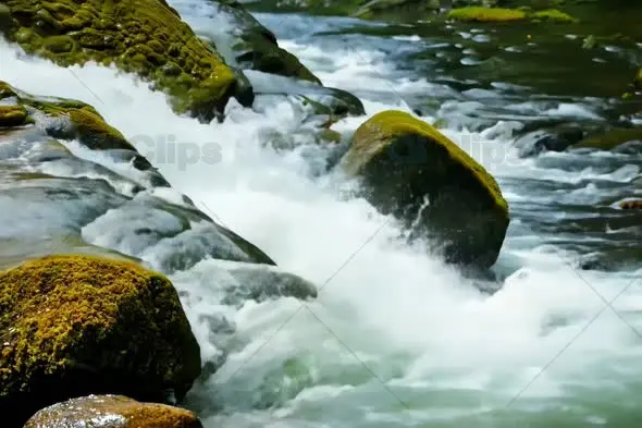 Rushing Water Over Moss-Covered Rocks in Mountain Stream