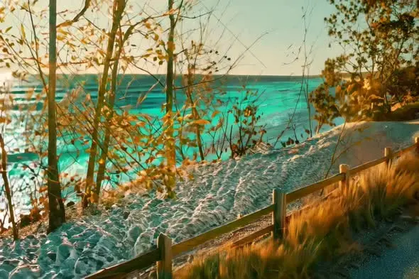 Turquoise Ocean View Through Autumn Trees with Snow-Covered Path