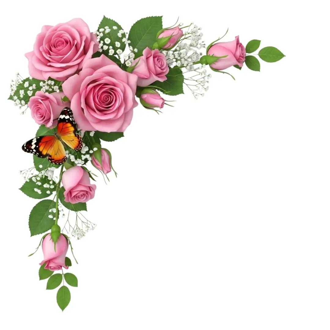 Pink Roses Butterfly and Gypsophila Corner Clipart PNG