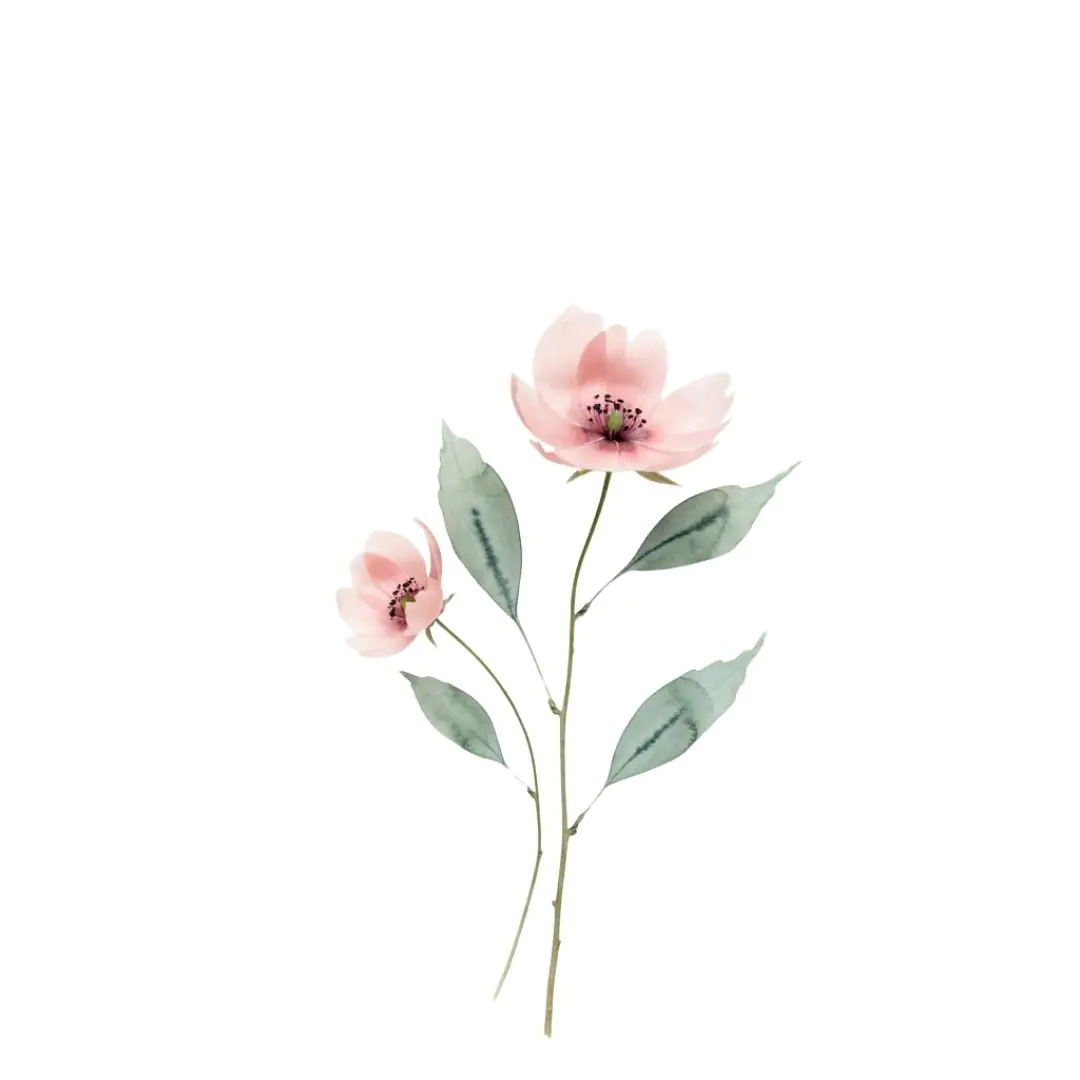 Delicate Watercolor Pink Flowers Stem PNG Clipart