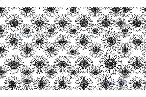 Black and White Sunflower Pattern