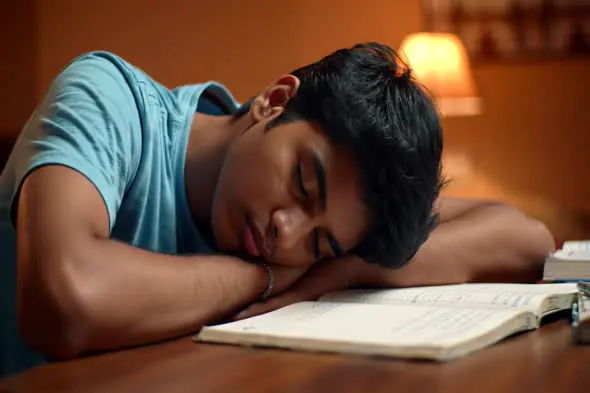 Exhausted Student Napping During Study