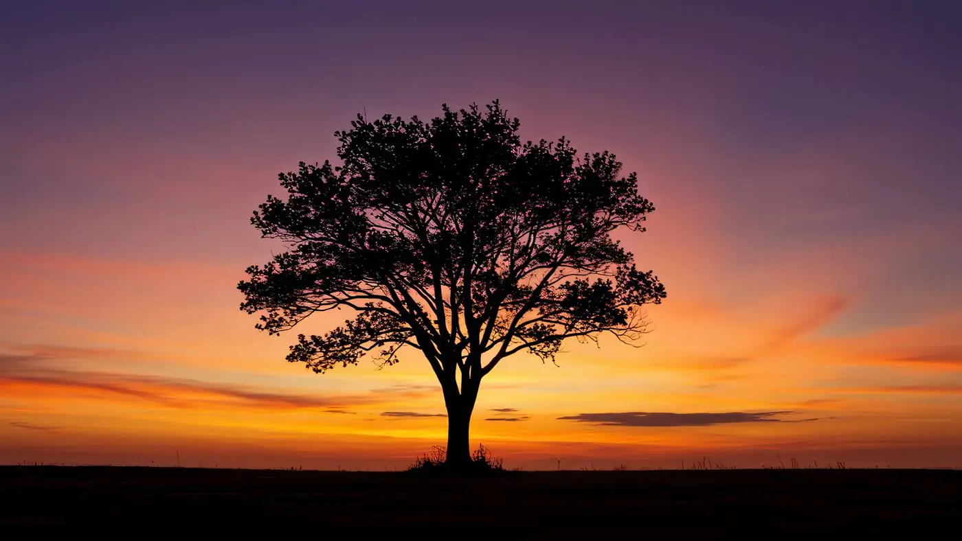 Majestic Lone Tree Silhouette Against Vibrant Sunset Sky | AIClips
