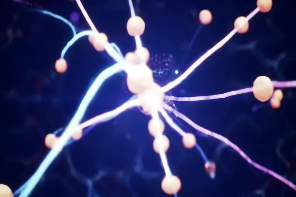 Futuristic Glowing Neuron Network Animation with Electric Impulses