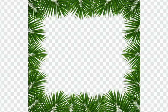 Tropical Palm Leaf Border Frame PNG Clipart