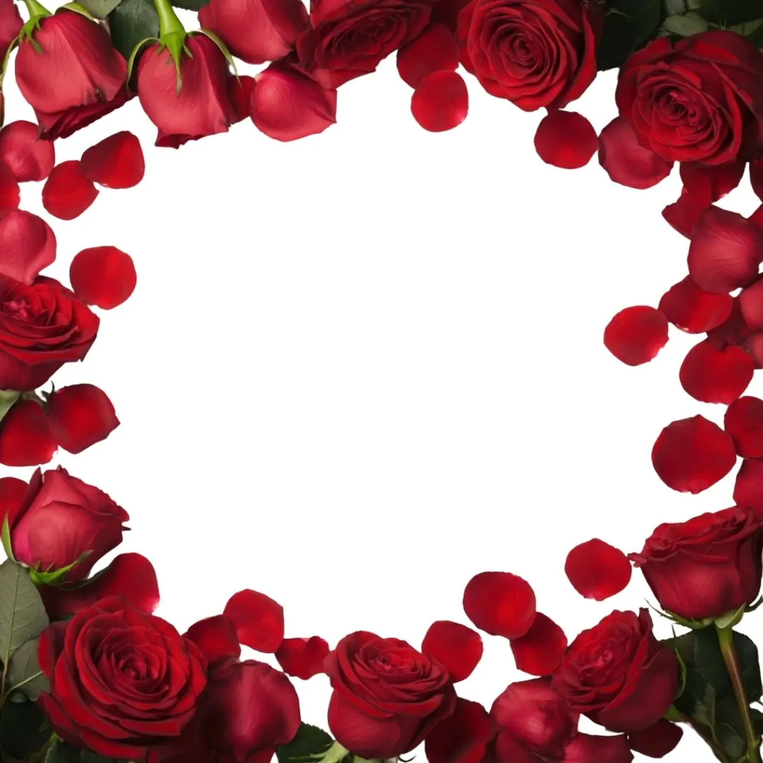 Romantic Red Roses Petals Frame Border PNG