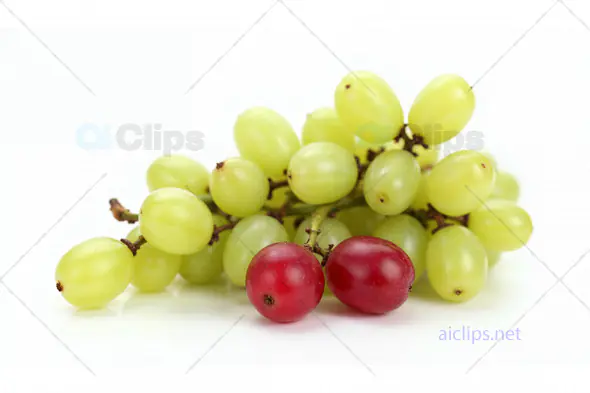 Green and Red Grapes on White Background