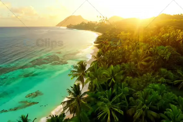 Aerial View of Tropical Beach at Sunset with Lush Palm Trees