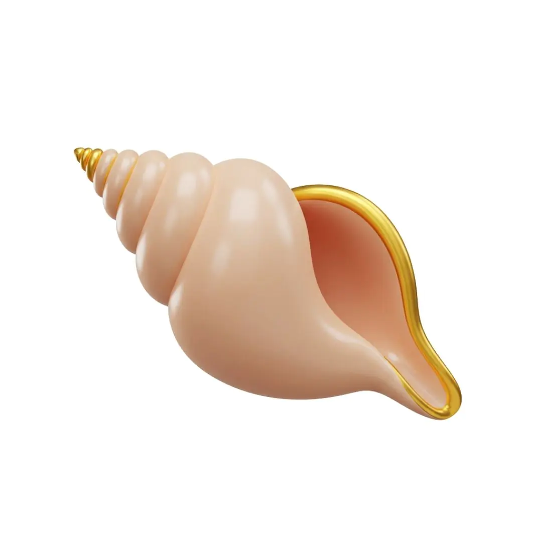 Realistic seashell with golden rim 3D model