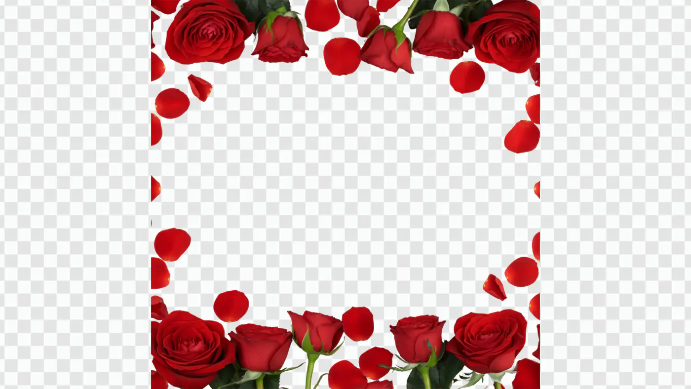 Vibrant Red Roses Petals Frame Border PNG