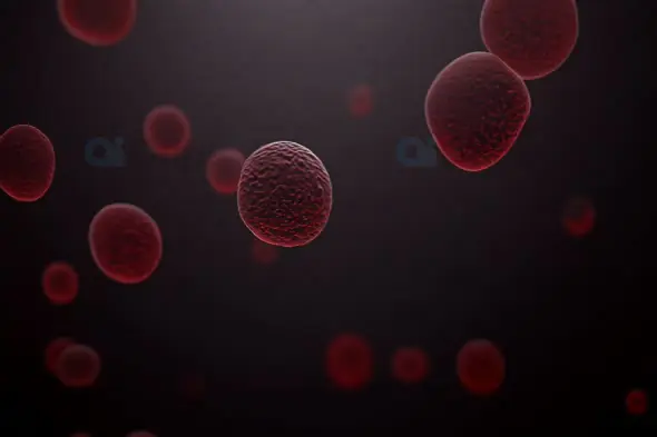 Floating Red Cells in Dark Microscopic View | AIClips