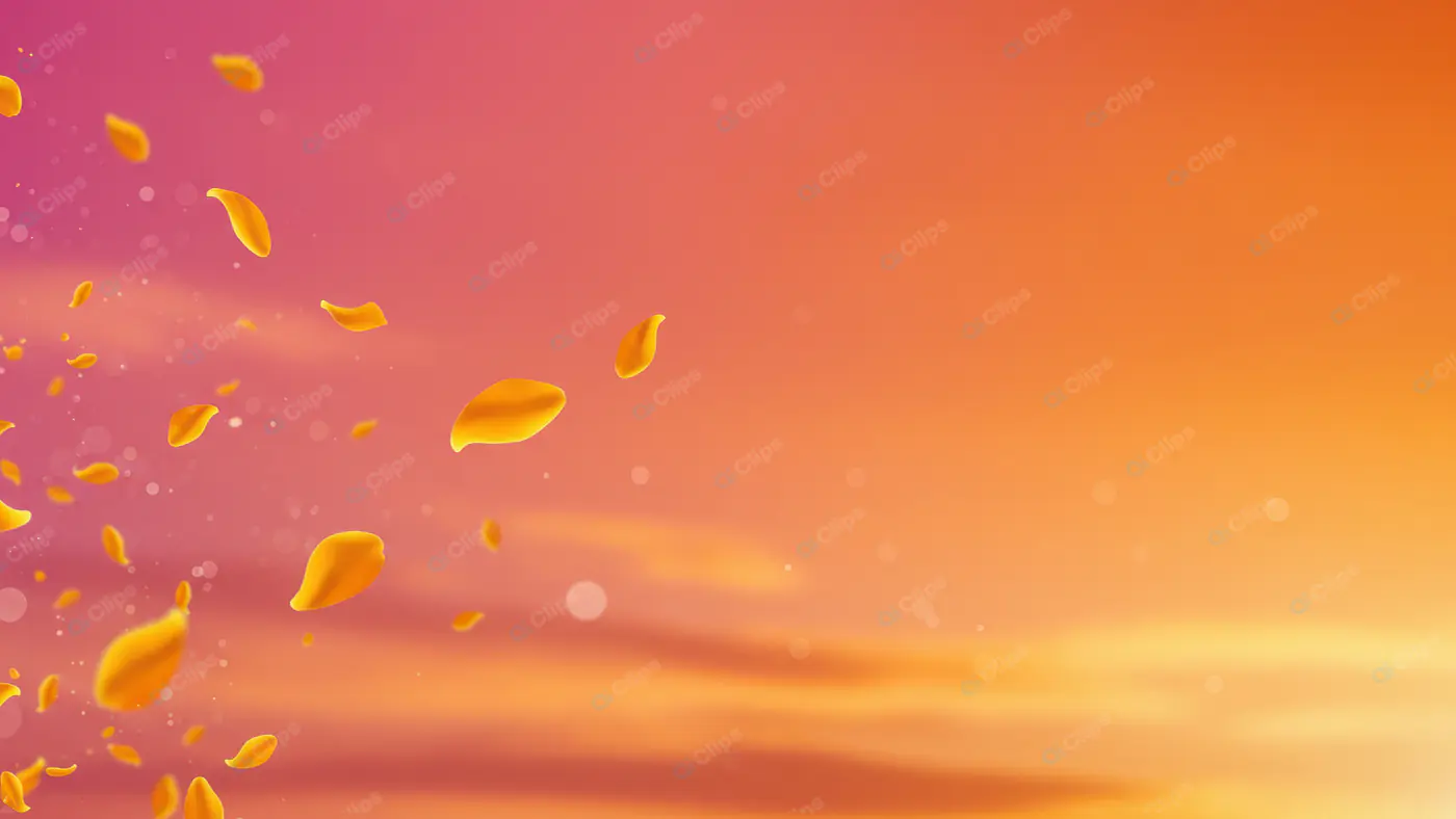 Sunset Petal Dance