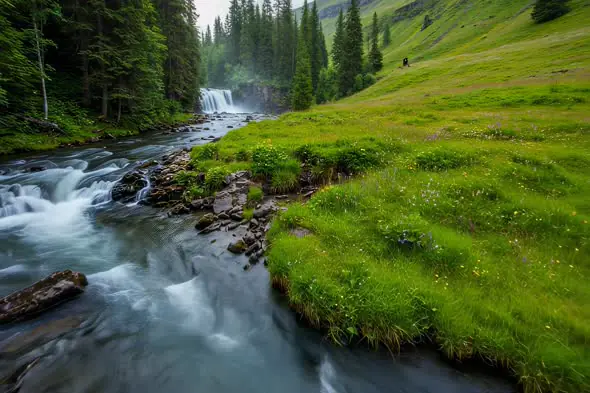 Rushing Mountain Stream Lush Alpine Meadow Scenic Landscape