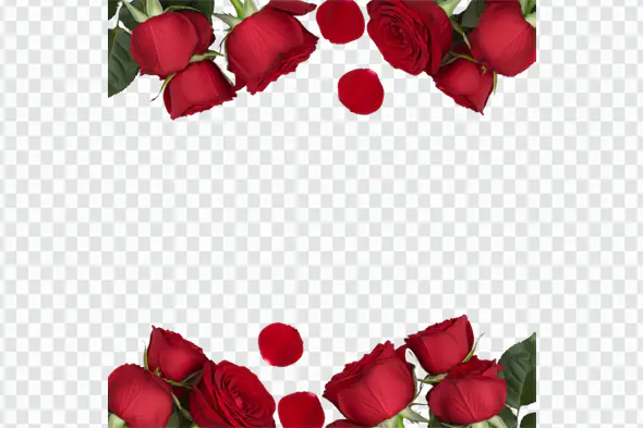 Elegant Red Roses Floral Corner Frame PNG