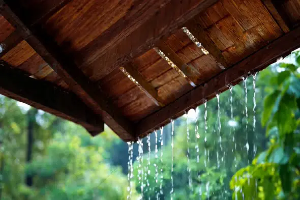 Rainwater Dripping from Wooden Roof in Lush Greenery