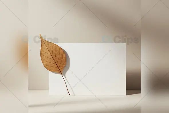 Minimalist Horizontal Card Mockup with Leaf Accent