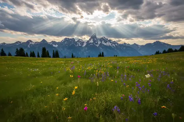 Majestic Mountain Range Wildflower Meadow Sunbeams Landscape
