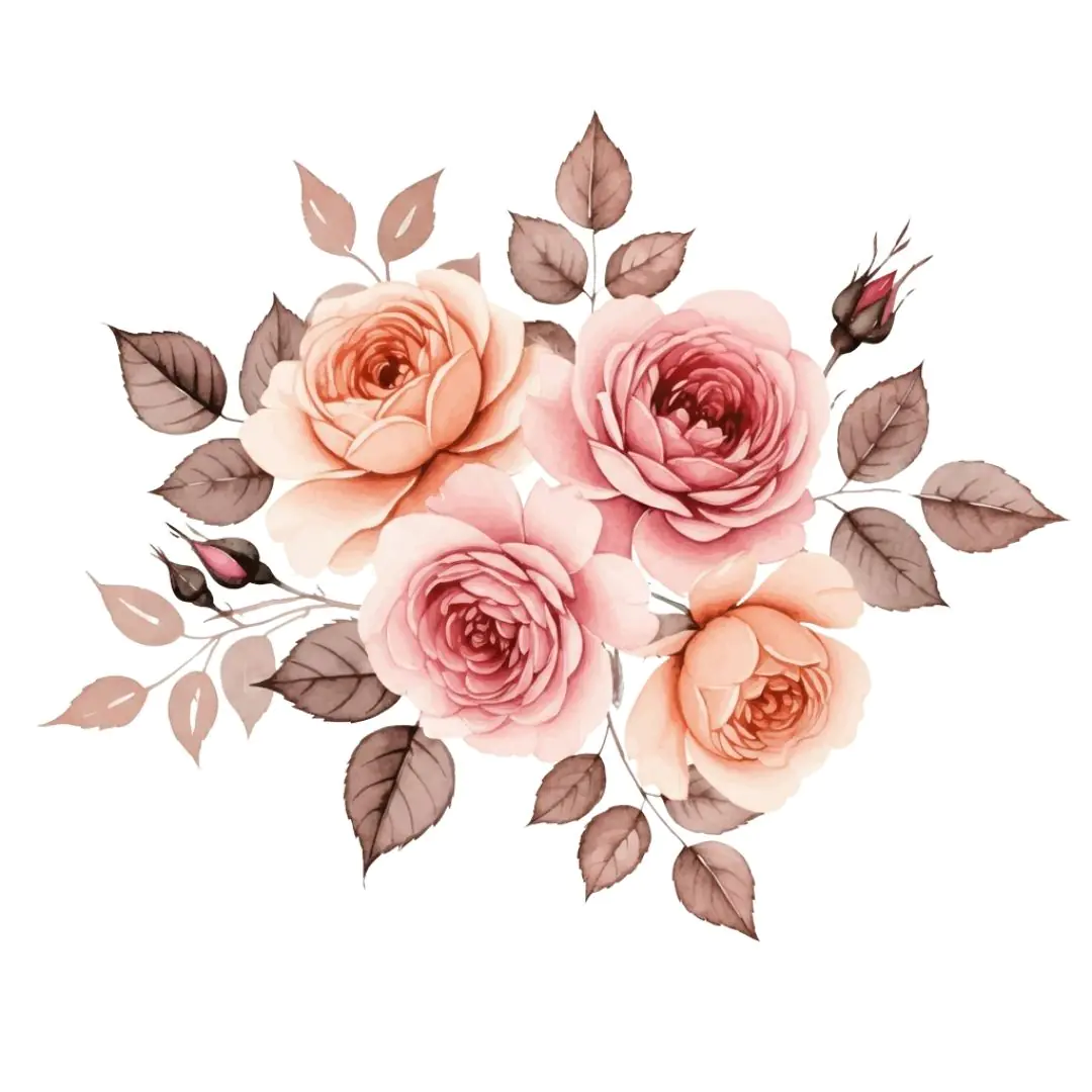 Blush Pink Roses Watercolor Floral Bouquet PNG