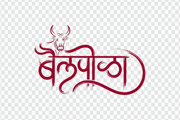 Bailpola Marathi Calligraphy Text with Bull Illustration Clipart PNG