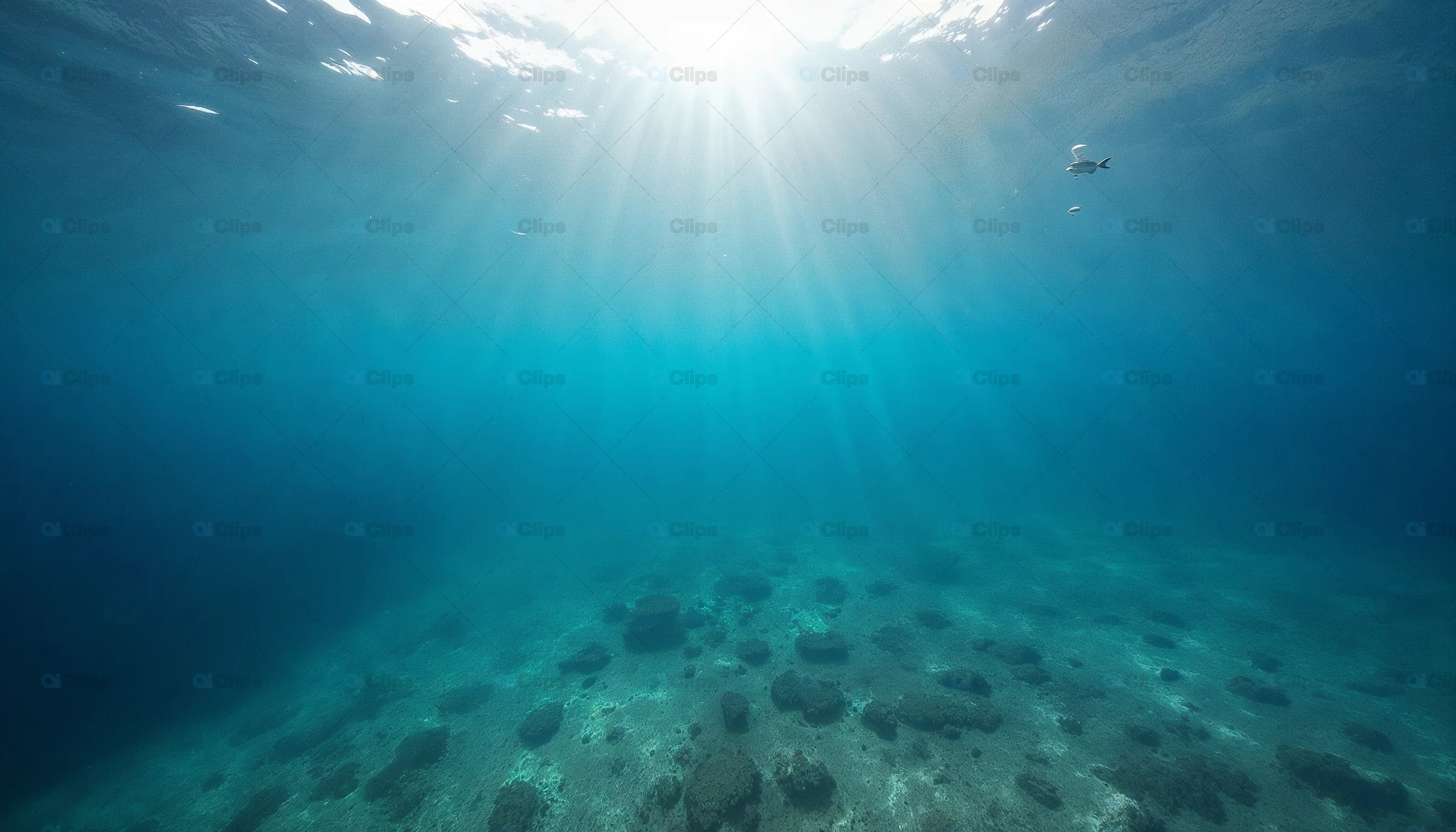 Underwater Ocean Sun Rays