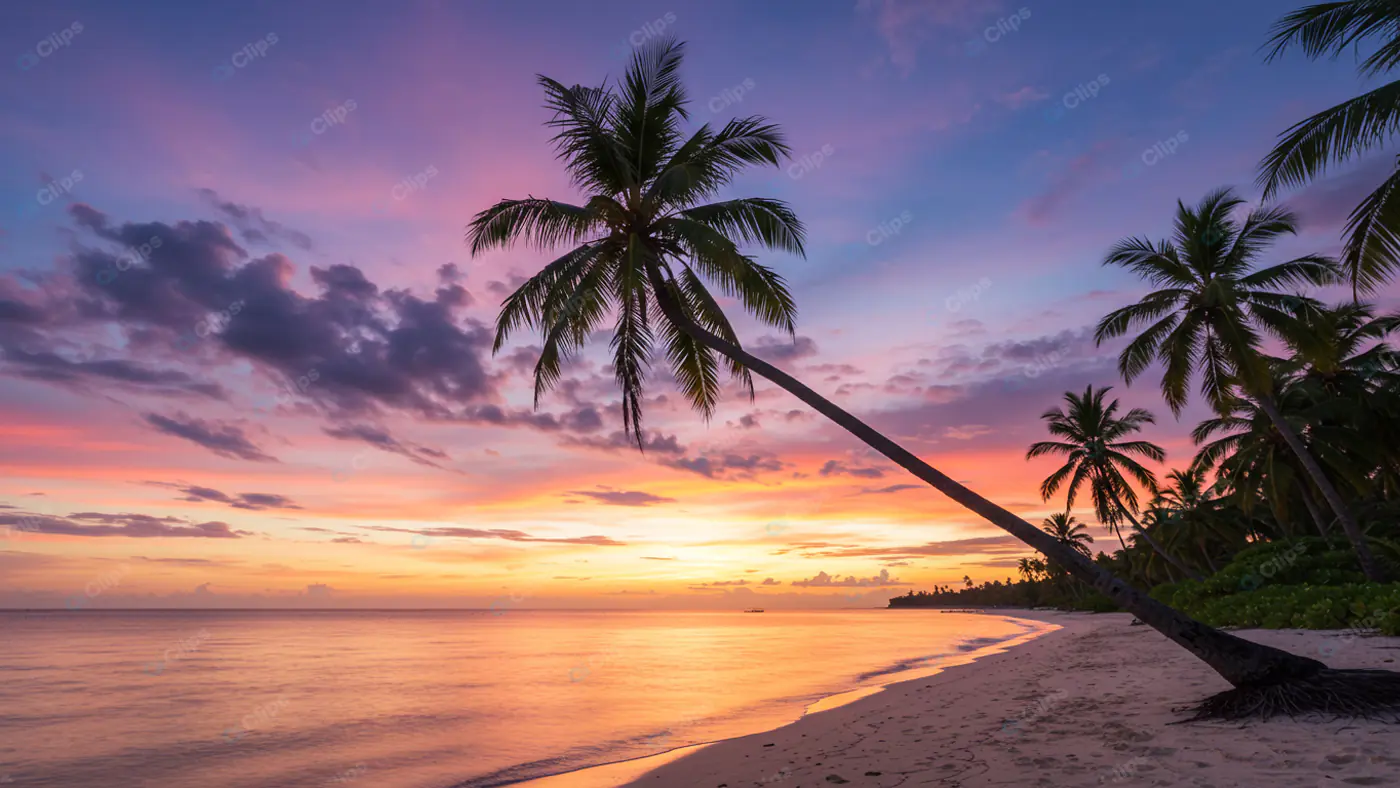 Tropical Paradise Sunset