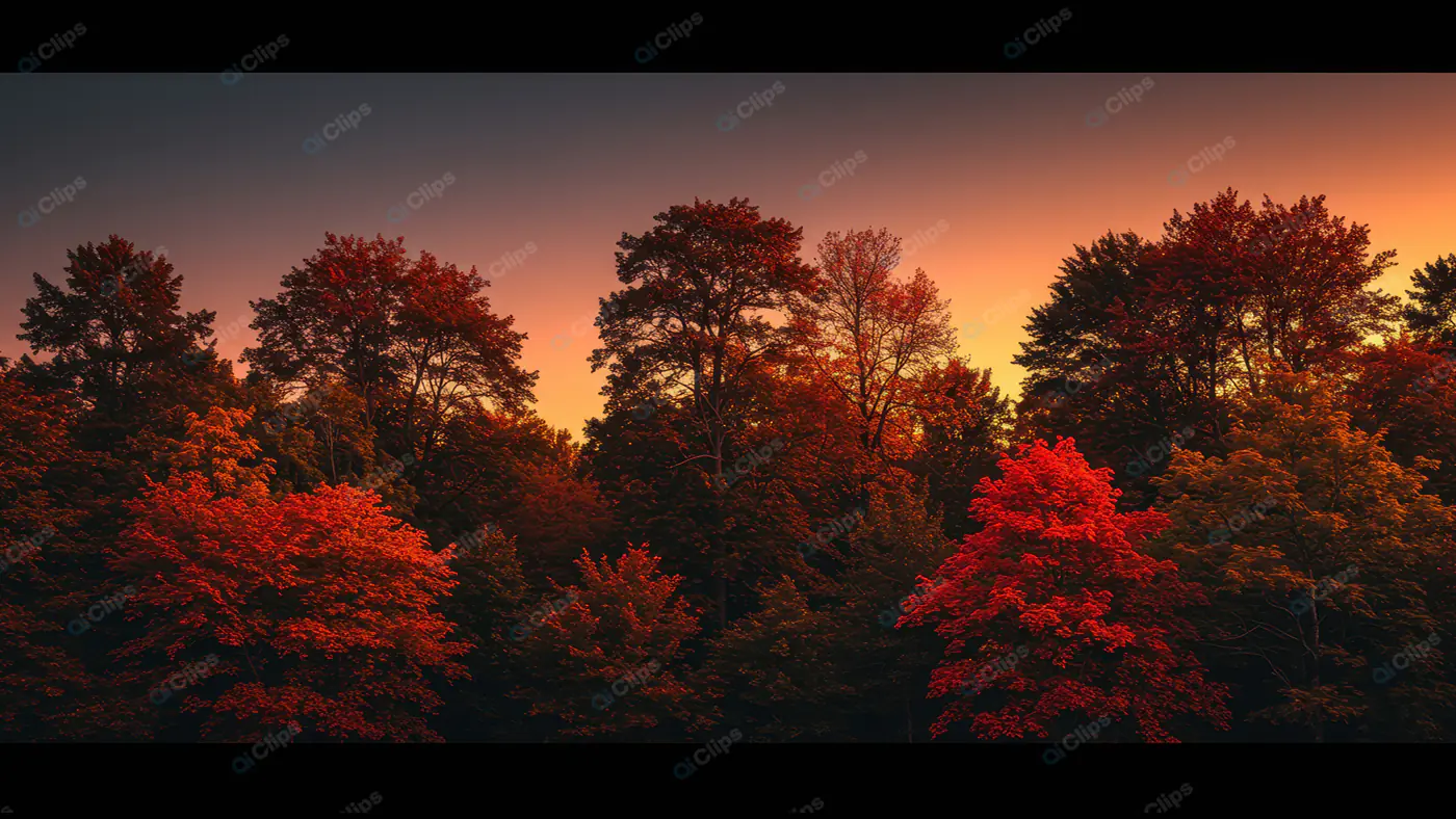 Fiery Autumn Twilight