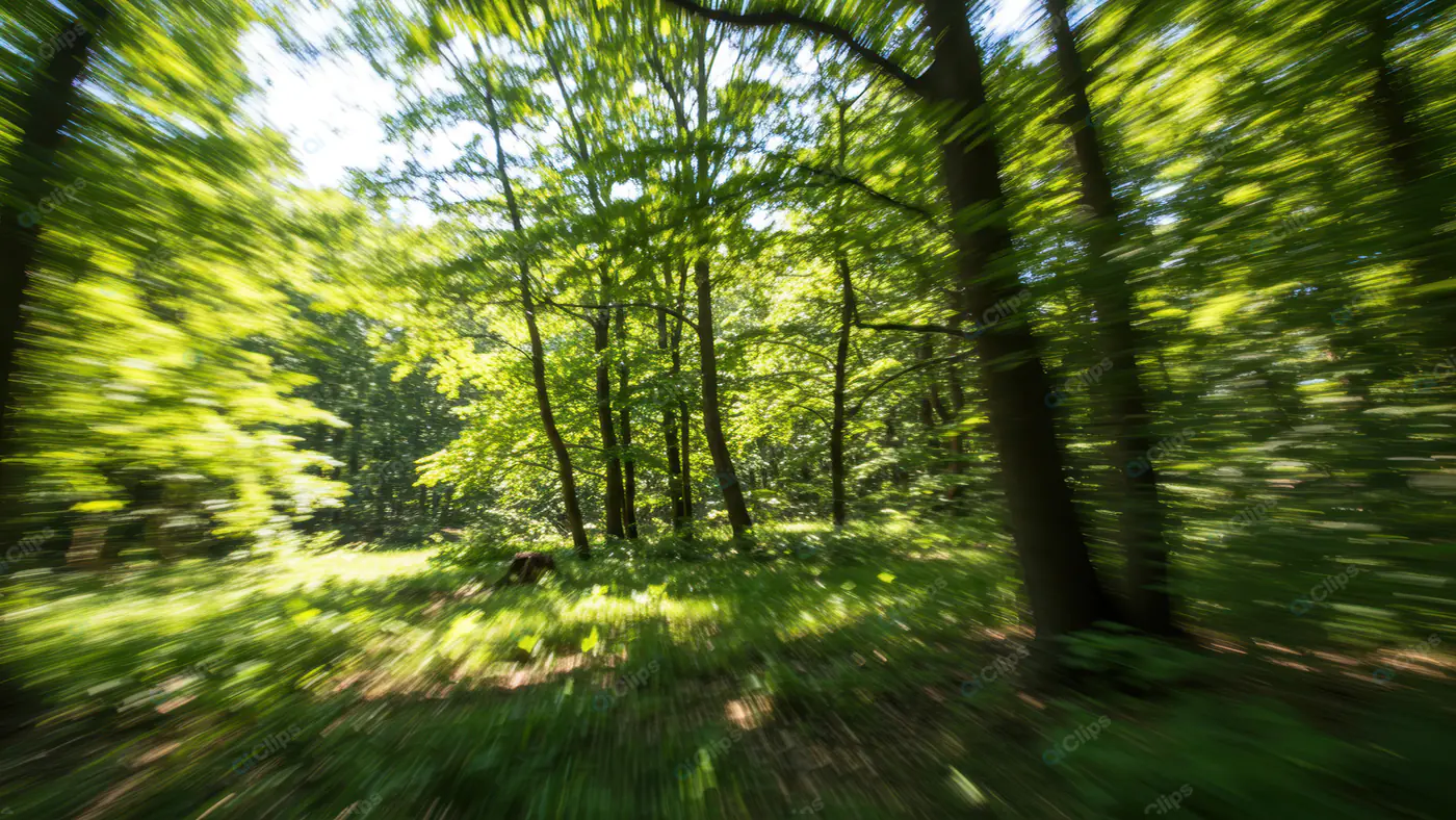 Dynamic Forest Motion Blur