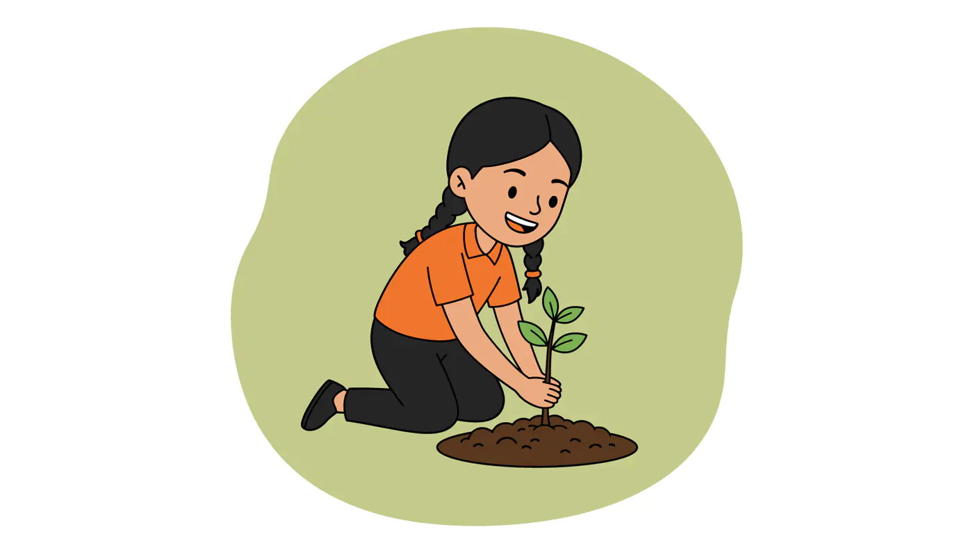 Girl Planting Sapling Vector Graphic
