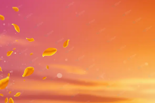 Sunset Petal Dance