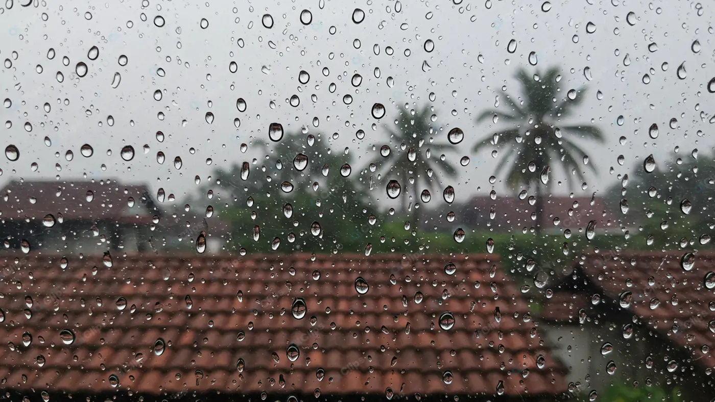 Tropical Monsoon Through Glass