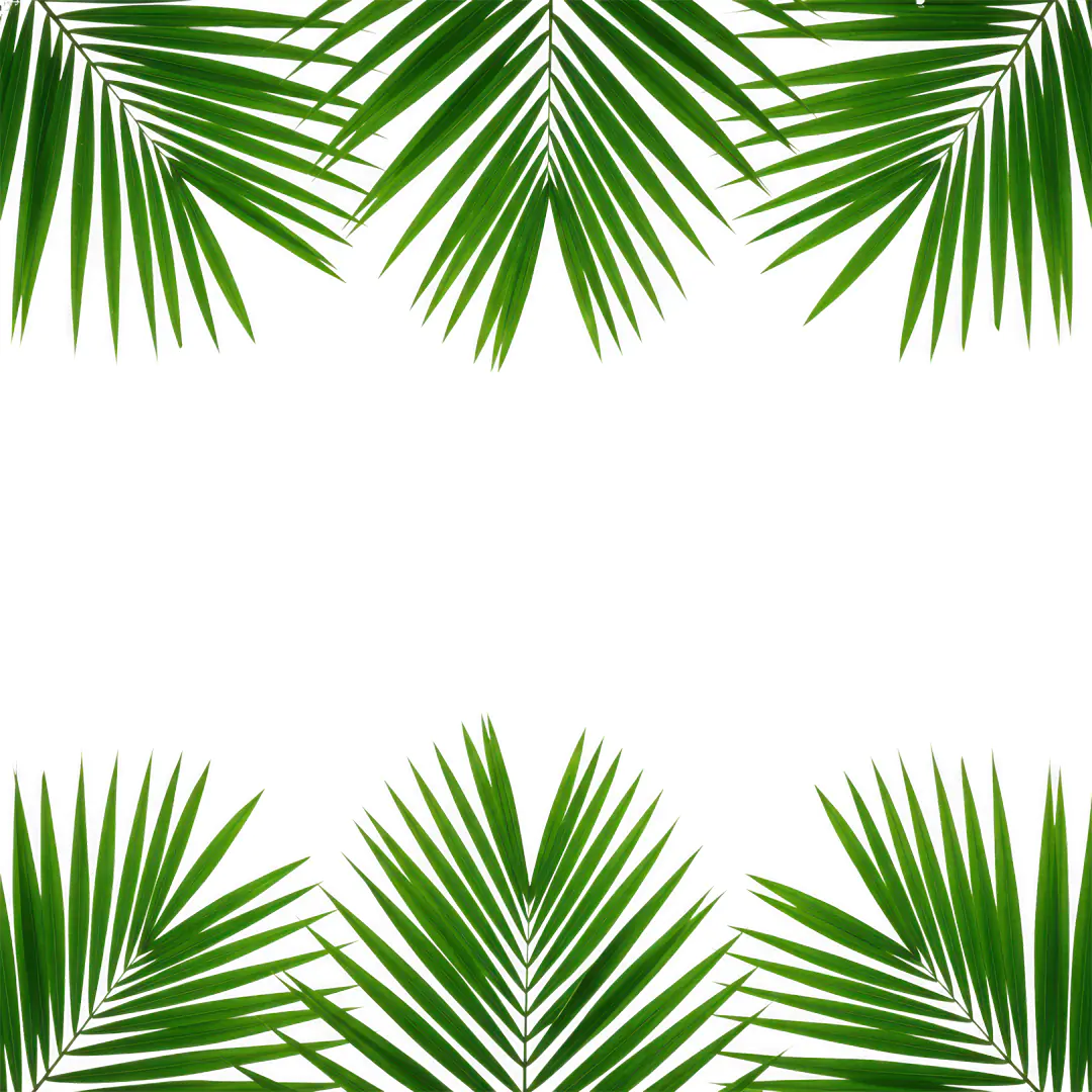 Tropical Palm Fronds Border Frame PNG Clipart