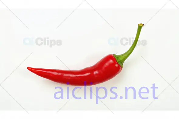 Red Chili Pepper on White Background