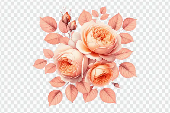 Blush Peony Bouquet with Coral Leaves PNG