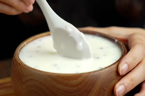 Creamy Yogurt Delight