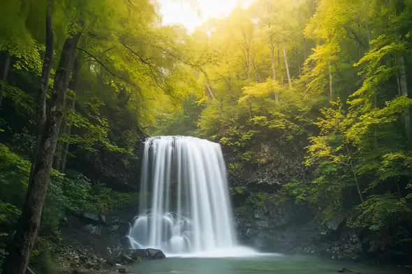 Sunlit Forest Waterfall Cascading Through Lush Greenery
