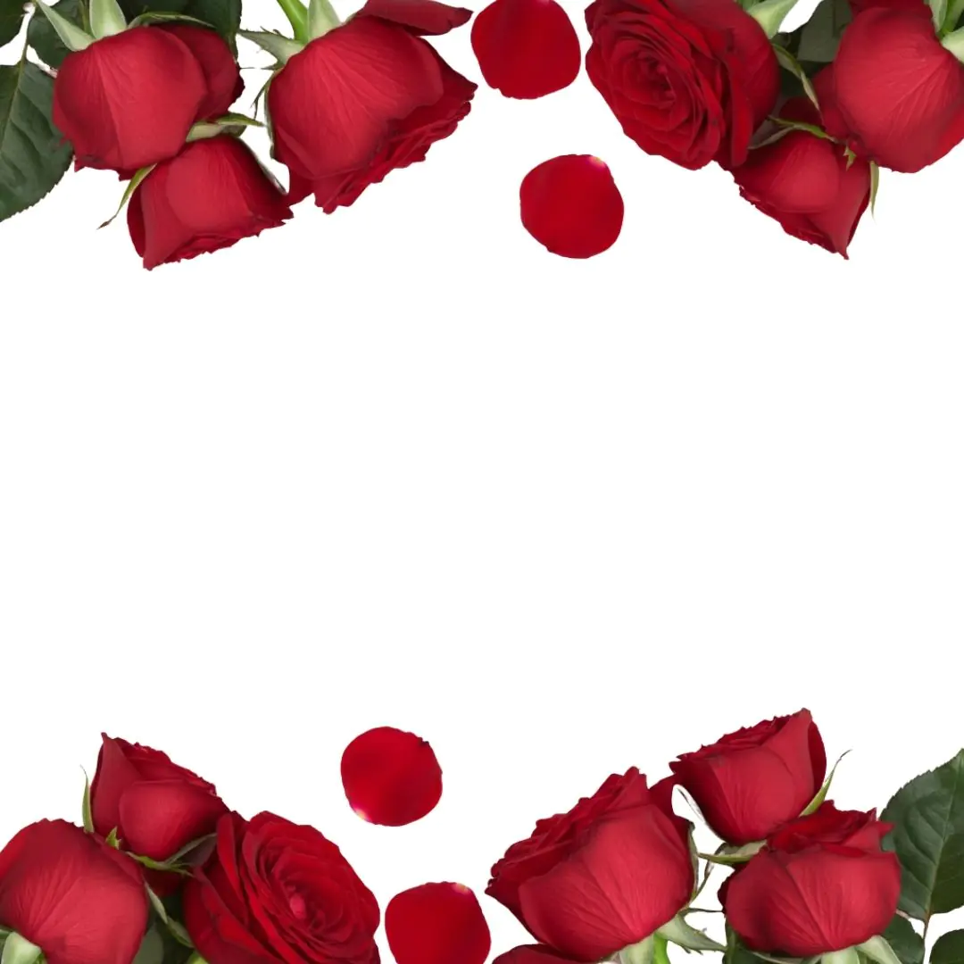 Elegant Red Roses Floral Corner Frame PNG