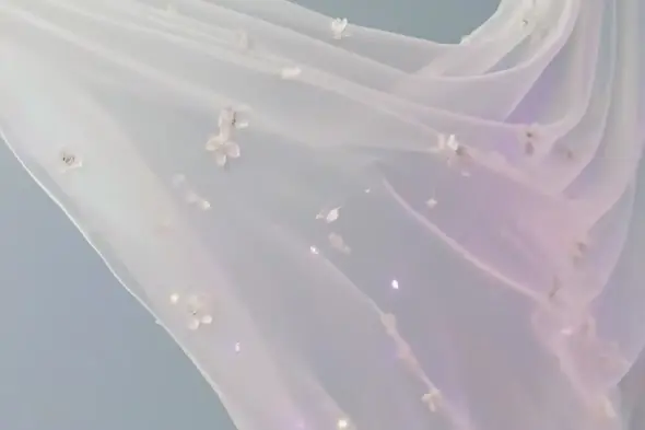 Ethereal White Veil with Delicate Floral Embellishments