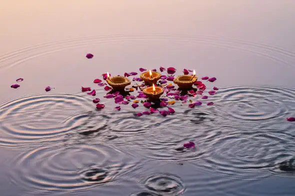 Floating Diyas with Rose Petals on Water During Sunset for Festive Ritual
