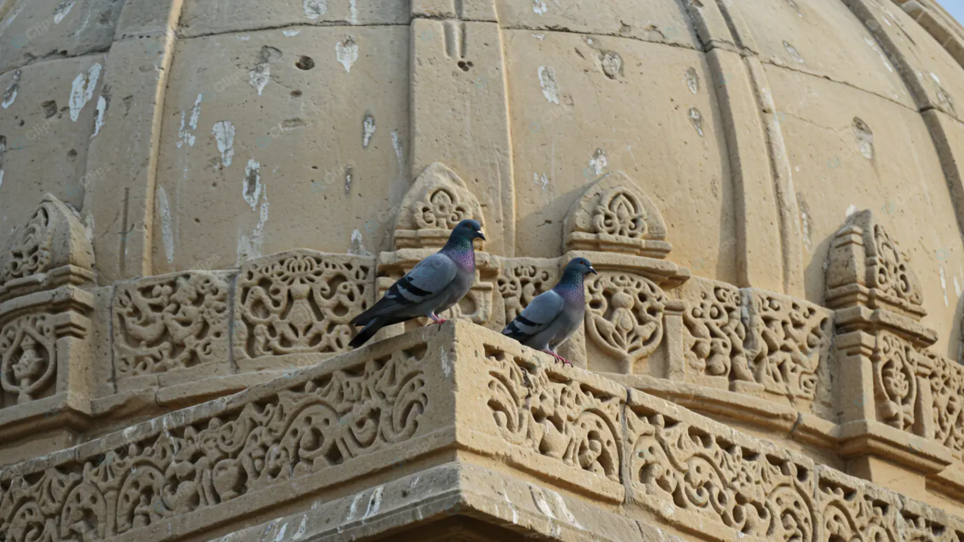 Pigeons on Ornate Stone Architecture