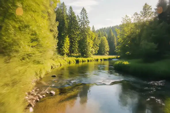 Serene Forest River Reflections Dynamic Nature Landscape
