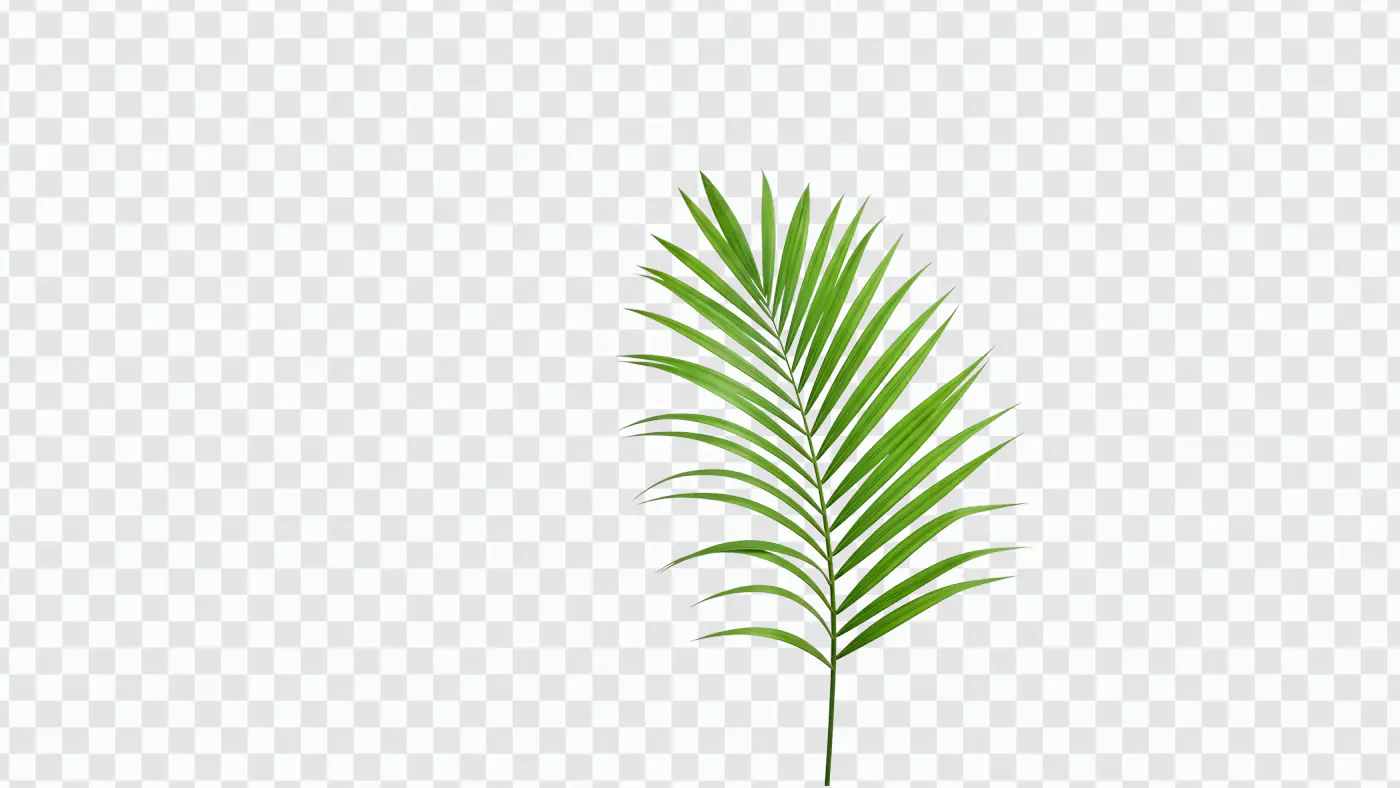 Vibrant Green Palm Frond Tropical Leaf PNG